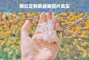 网红定制鹅绒被图片真实