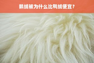 鹅绒被为什么比鸭绒便宜？