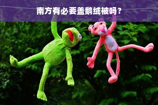 南方有必要盖鹅绒被吗？