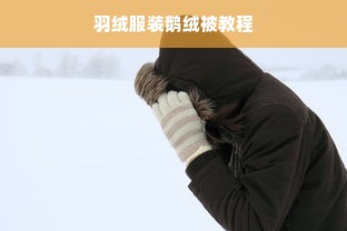 羽绒服装鹅绒被教程