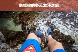 鹅绒被的冬天发汗之旅