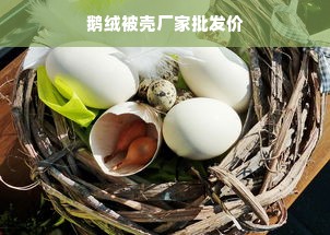 鹅绒被壳厂家批发价