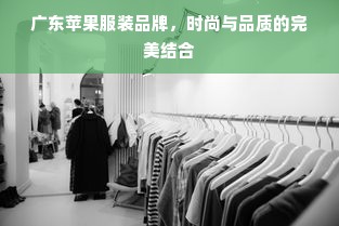 广东苹果服装品牌，时尚与品质的完美结合