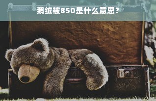 鹅绒被850是什么意思？