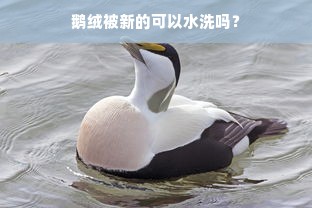 鹅绒被新的可以水洗吗？