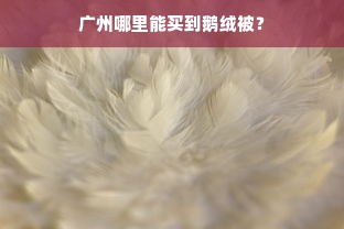 广州哪里能买到鹅绒被？