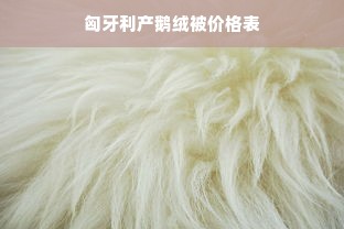 匈牙利产鹅绒被价格表