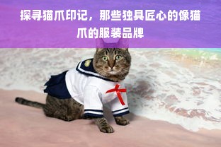 探寻猫爪印记，那些独具匠心的像猫爪的服装品牌