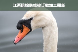 江西陪嫁鹅绒被订做加工翻新