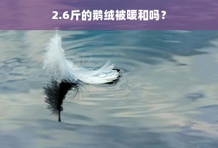 2.6斤的鹅绒被暖和吗？