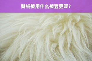 鹅绒被用什么被套更暖？