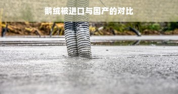 鹅绒被进口与国产的对比