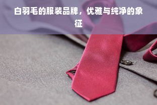 白羽毛的服装品牌，优雅与纯净的象征