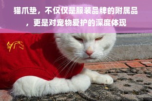 猫爪垫，不仅仅是服装品牌的附属品，更是对宠物爱护的深度体现