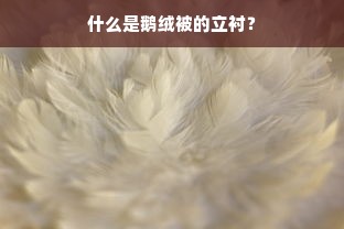 什么是鹅绒被的立衬？