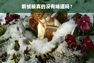 凯盛家纺，波兰进口鹅绒被的奢华之旅