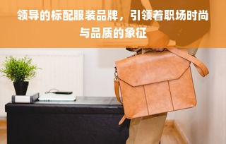 领导的标配服装品牌，引领着职场时尚与品质的象征