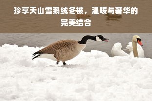 珍享天山雪鹅绒冬被，温暖与奢华的完美结合