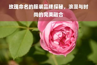 玫瑰命名的服装品牌探秘，浪漫与时尚的完美融合