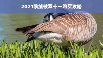 2021鹅绒被双十一购买攻略