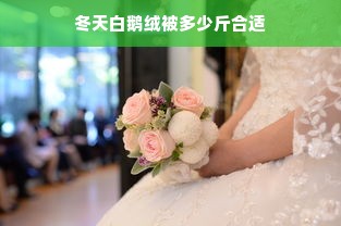 冬天白鹅绒被多少斤合适