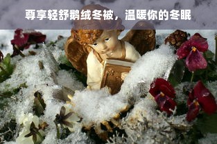 尊享轻舒鹅绒冬被，温暖你的冬眠