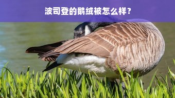 波司登的鹅绒被怎么样？