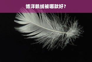 博洋鹅绒被哪款好？