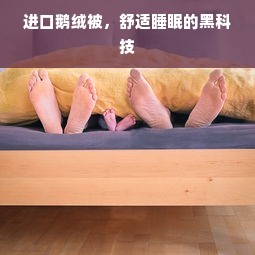 进口鹅绒被，舒适睡眠的黑科技