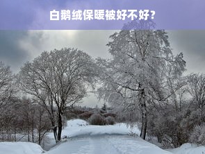 白鹅绒保暖被好不好？