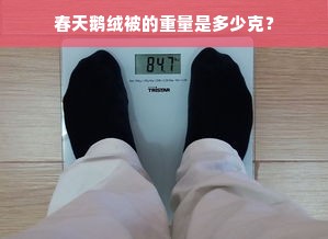 春天鹅绒被的重量是多少克？