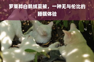 罗莱粹白鹅绒夏被，一种无与伦比的睡眠体验