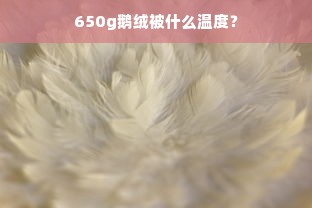 650g鹅绒被什么温度？