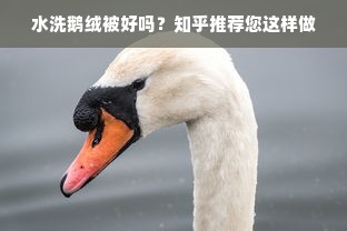 水洗鹅绒被好吗？知乎推荐您这样做