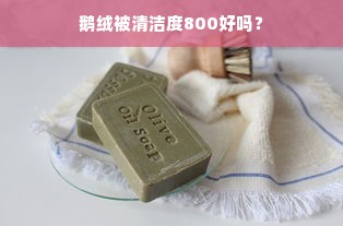 鹅绒被清洁度800好吗？