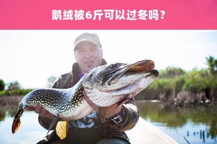 鹅绒被6斤可以过冬吗？