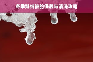 冬季鹅绒被的保养与清洗攻略