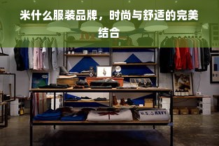 米什么服装品牌，时尚与舒适的完美结合