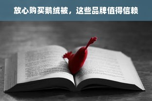 放心购买鹅绒被，这些品牌值得信赖