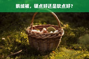 鹅绒被，硬点好还是软点好？