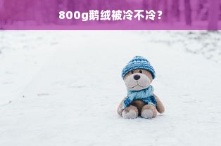 800g鹅绒被冷不冷？