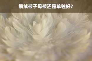 鹅绒被子母被还是单独好？