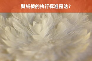 鹅绒被的执行标准是啥？