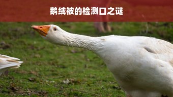 鹅绒被的检测口之谜