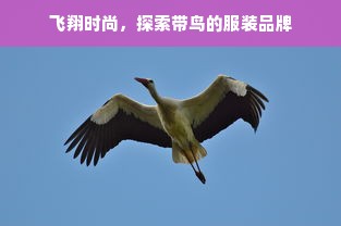 家纺怎么叠陈列视频（家纺陈列叠法花样教程视频）