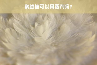 鹅绒被可以用蒸汽吗？