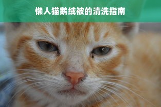 懒人猫鹅绒被的清洗指南