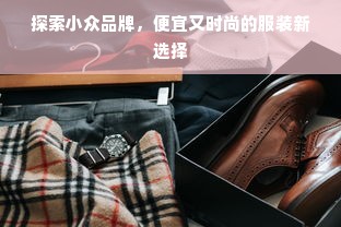 探索小众品牌，便宜又时尚的服装新选择