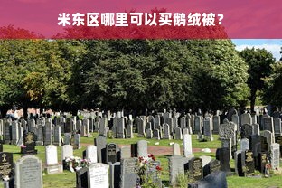 米东区哪里可以买鹅绒被？