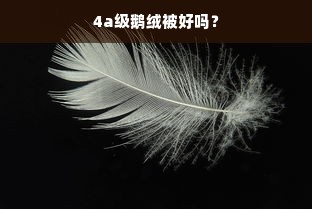 4a级鹅绒被好吗？